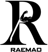Raemao Massage Gun